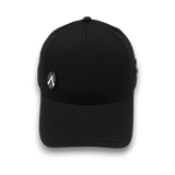 THE COURT: BLACK